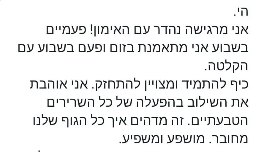 המלצות (7)